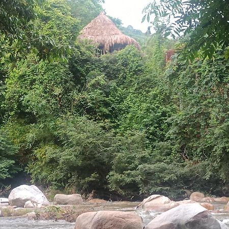 אל סאינו Sierra Tayrona Hostel מראה חיצוני תמונה