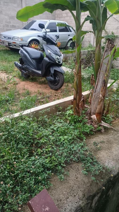 אל סאינו Sierra Tayrona Hostel מראה חיצוני תמונה