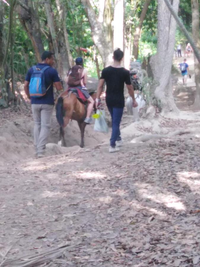 אל סאינו Sierra Tayrona Hostel מראה חיצוני תמונה