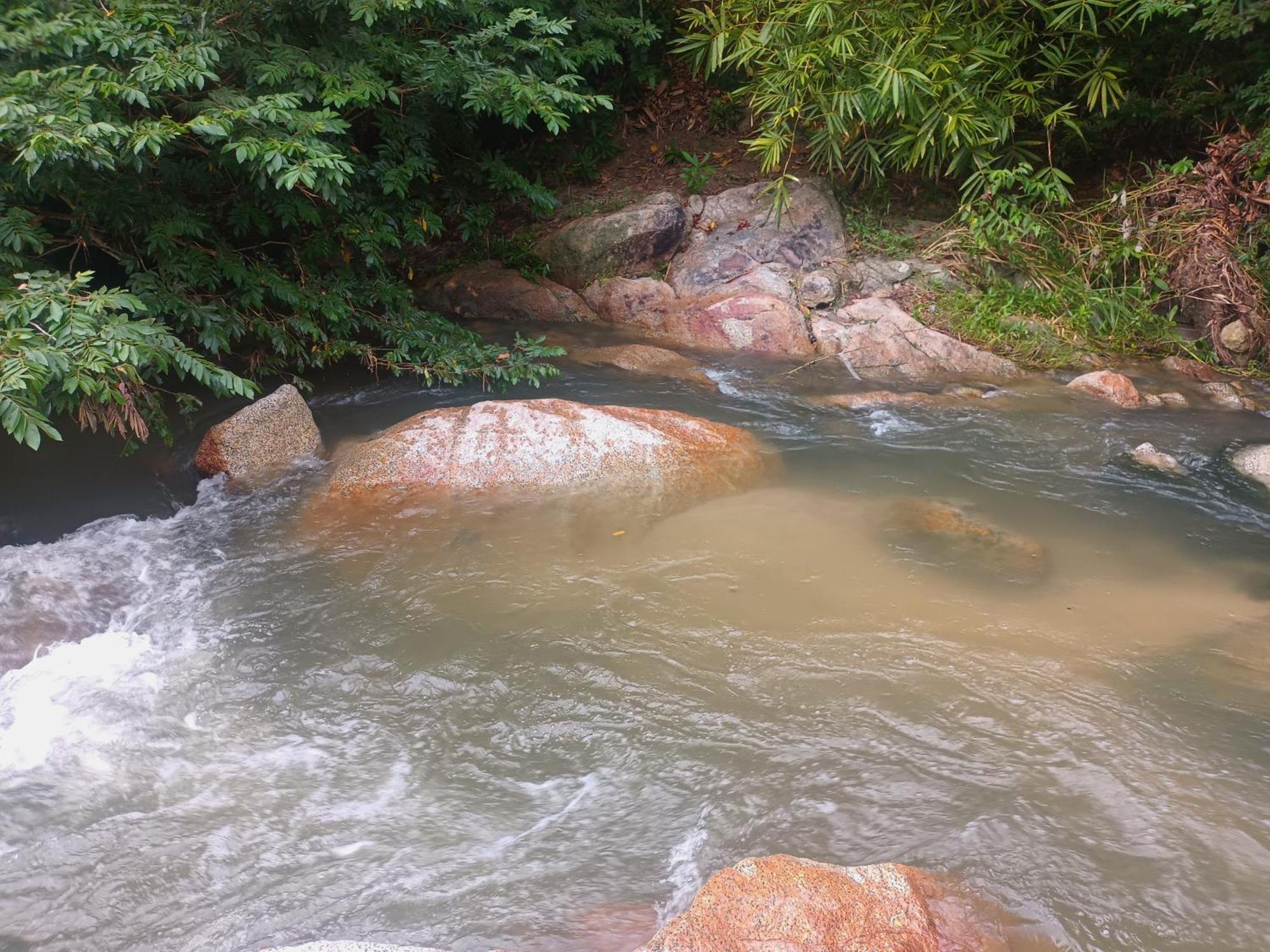 אל סאינו Sierra Tayrona Hostel מראה חיצוני תמונה