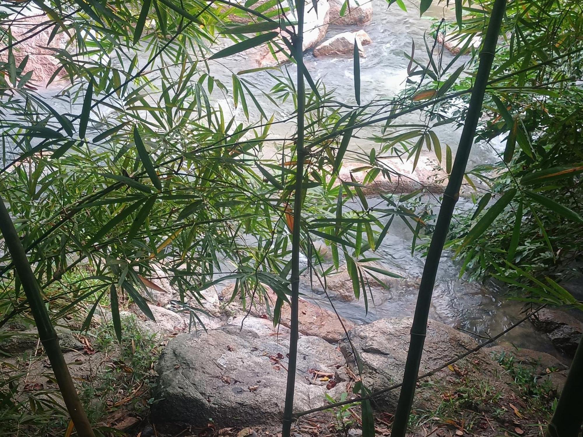 אל סאינו Sierra Tayrona Hostel מראה חיצוני תמונה