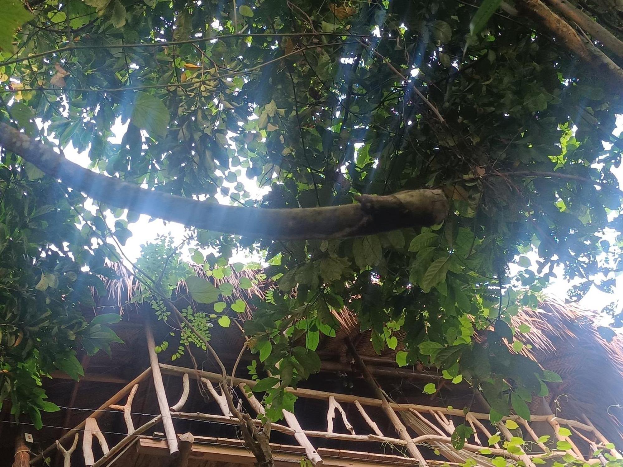 אל סאינו Sierra Tayrona Hostel מראה חיצוני תמונה