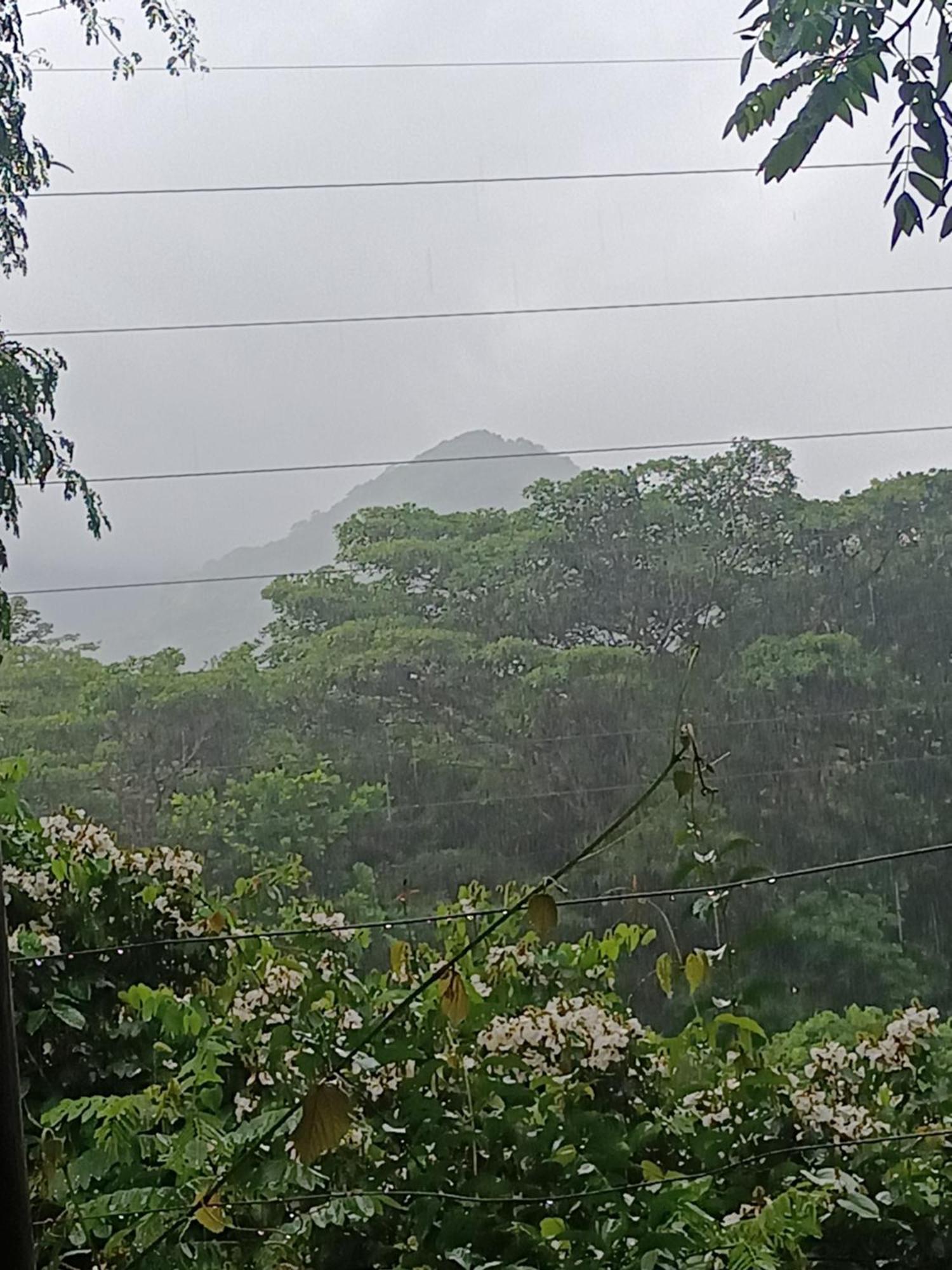 אל סאינו Sierra Tayrona Hostel מראה חיצוני תמונה