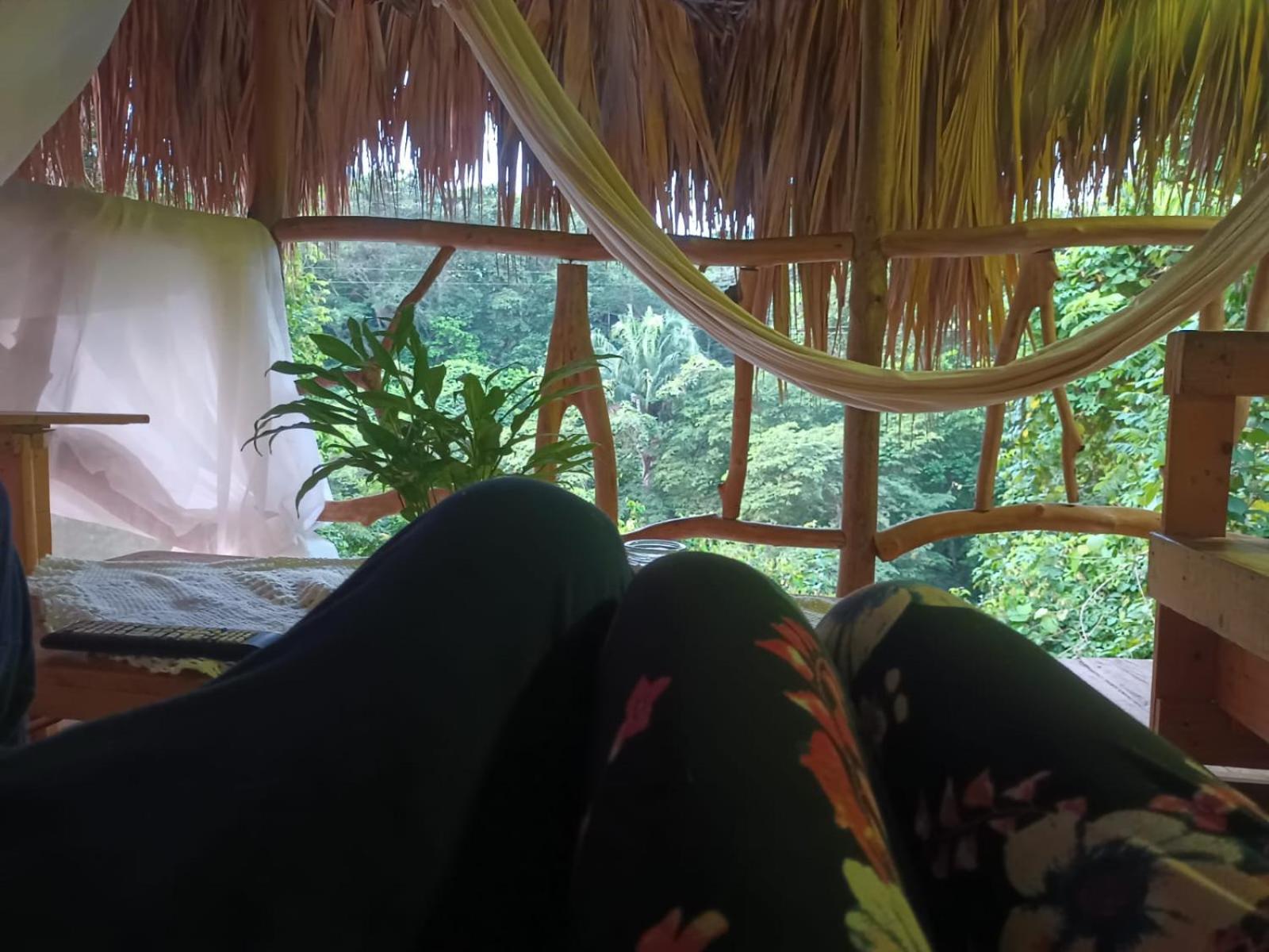 אל סאינו Sierra Tayrona Hostel מראה חיצוני תמונה