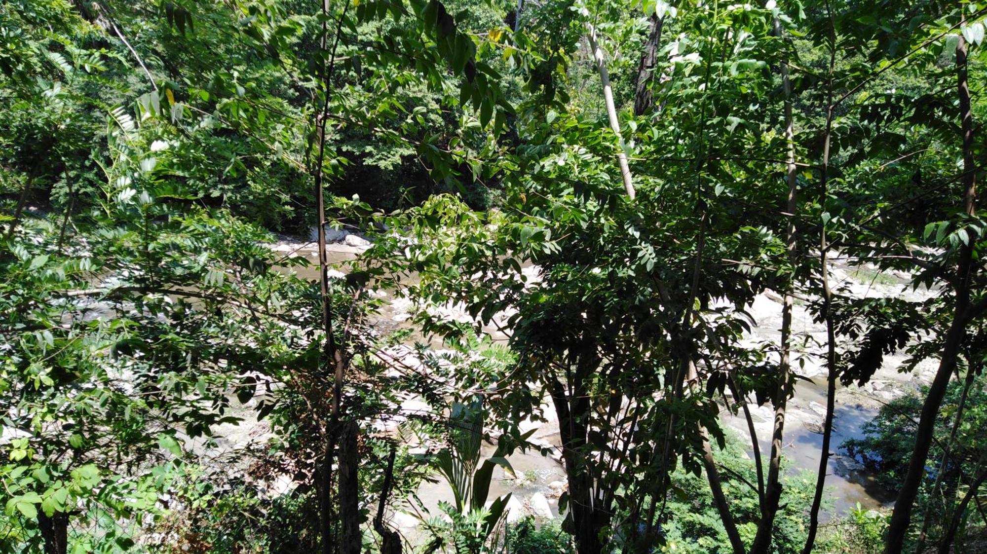 אל סאינו Sierra Tayrona Hostel מראה חיצוני תמונה