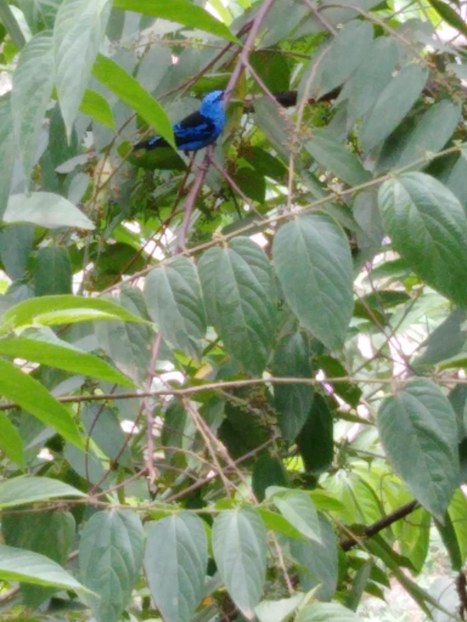 אל סאינו Sierra Tayrona Hostel מראה חיצוני תמונה
