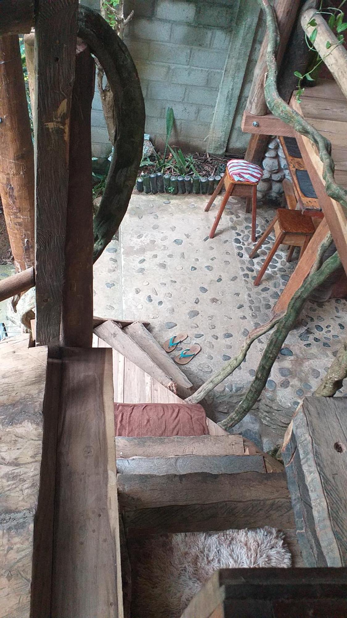 אל סאינו Sierra Tayrona Hostel מראה חיצוני תמונה