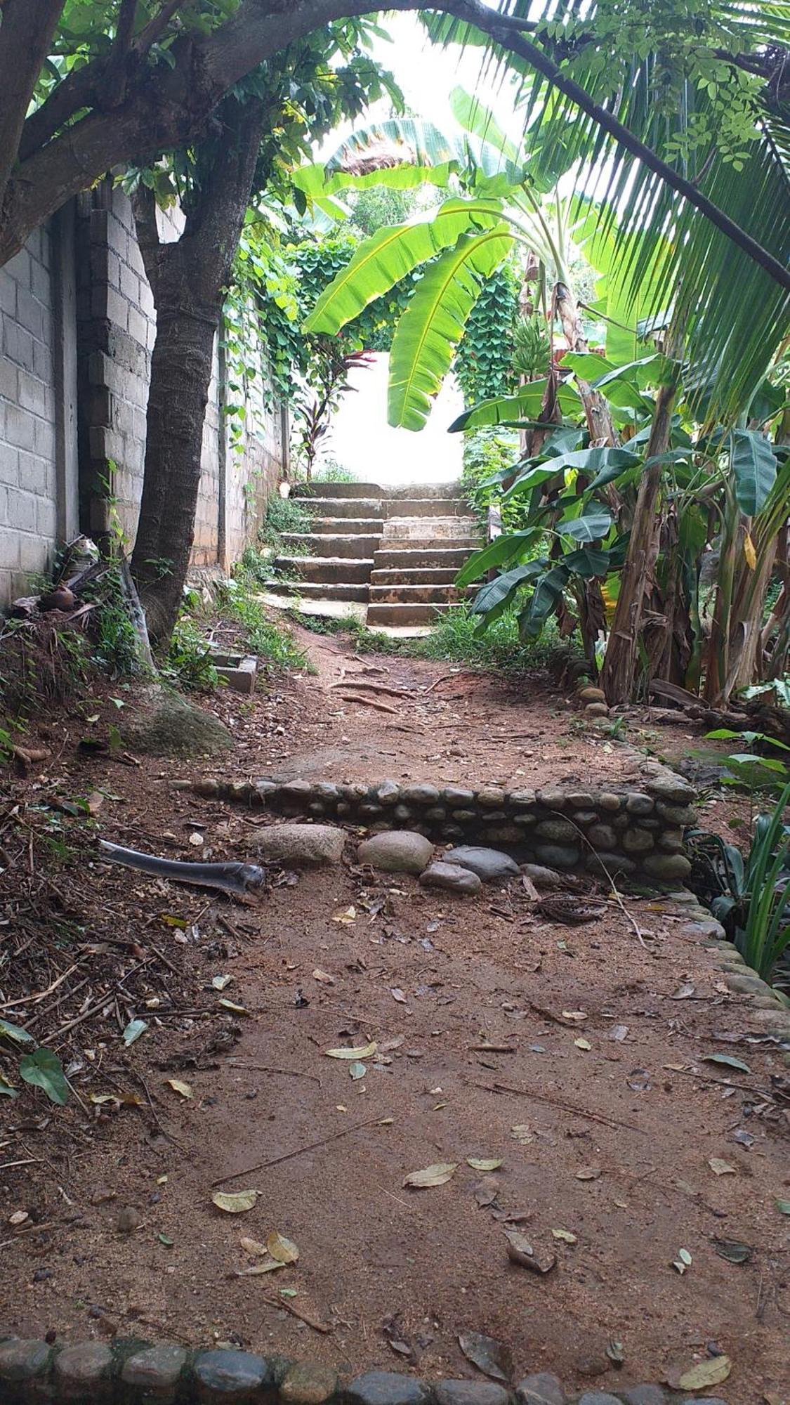 אל סאינו Sierra Tayrona Hostel מראה חיצוני תמונה
