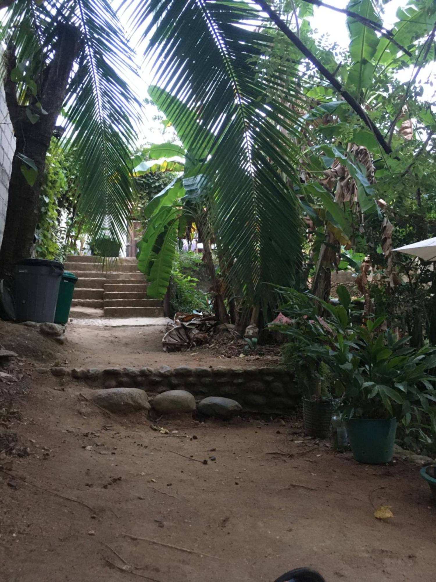 אל סאינו Sierra Tayrona Hostel מראה חיצוני תמונה